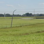 Le Honda AWV : Un pas vers l'avenir