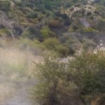 Le Honda Prologue 2024 arrive