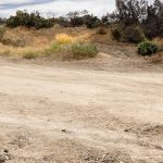 Honda Triomphe aux Autos Awards 2023 de Newsweek